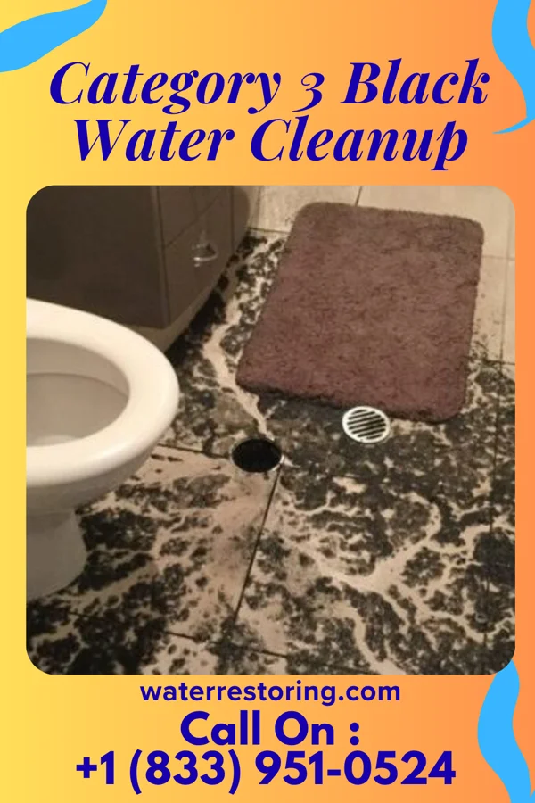 Category 3 Black Water Cleanup in Friendsville, MD