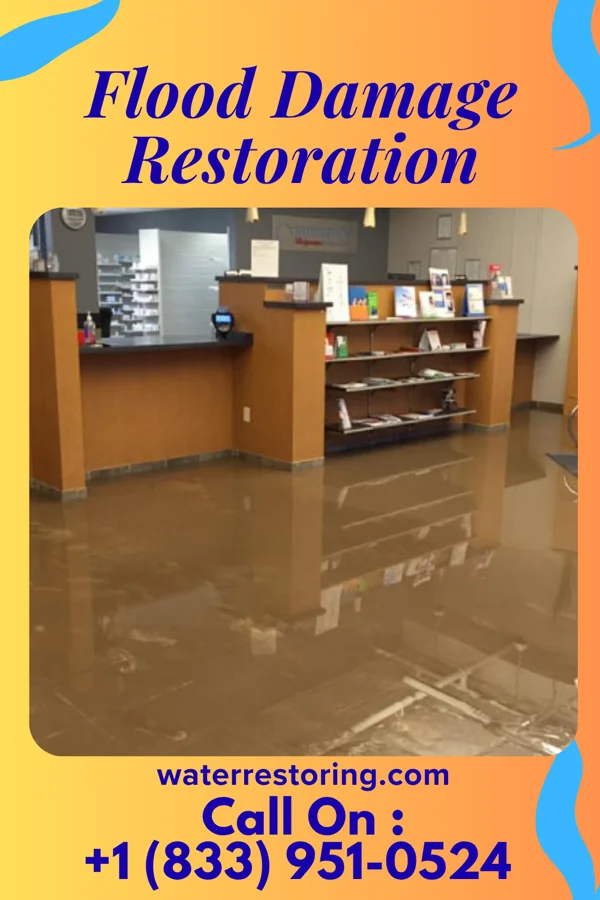Flood Damage Restoration in Friendsville, MD