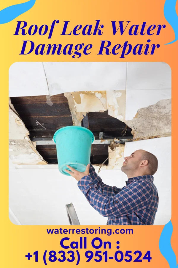 Roof Leak Water Damage Repair in Friendsville, MD