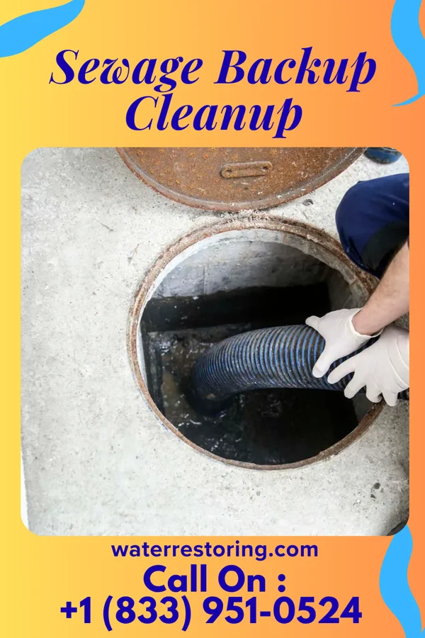Sewage Backup Cleanup in Friendsville, MD