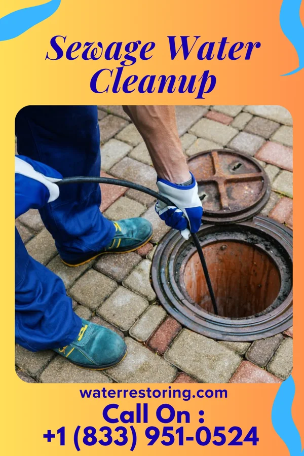 Sewage Water Cleanup in Friendsville, MD