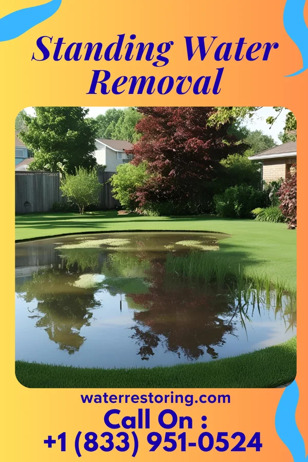 Standing Water Removal in Friendsville, MD